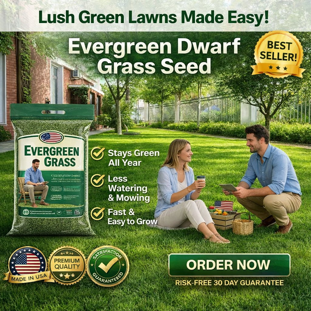 /69d350280229d300090767f7/2026/04/16/product-img-69e11e05373c02bd69cc07d7.png